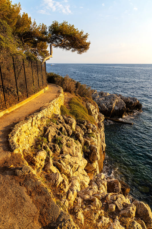 MIGLOT Eau Fraîche Cap Ferrat
